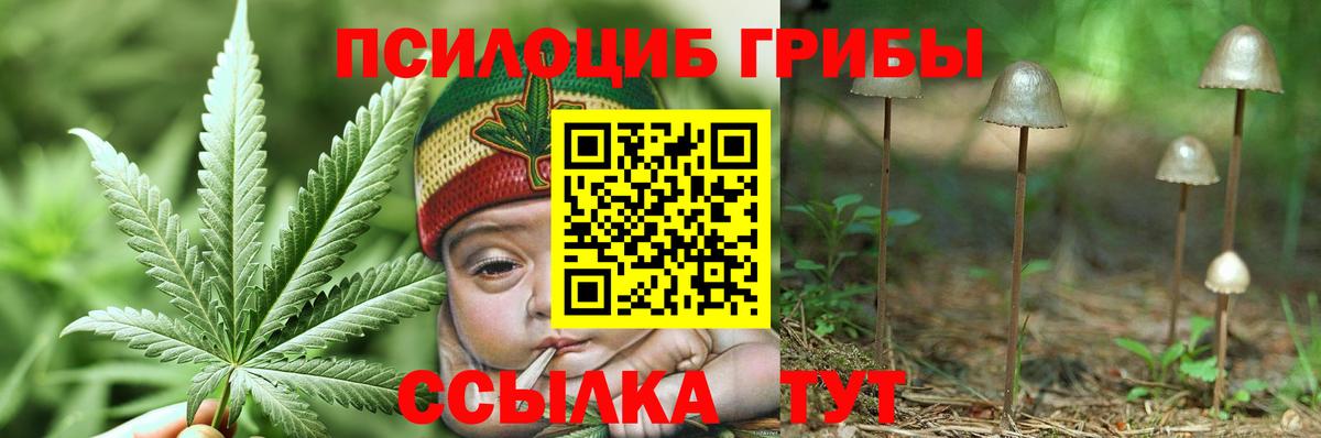 Псилоцибиновые грибы MAGIC MUSHROOMS  Вход с VPN  Гудермес  Псилоцибиновые грибы мицелий 